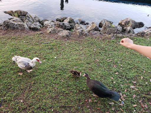Park «Antonio Maceo Park», reviews and photos, 5135 NW 7th St, Miami, FL 33126, USA