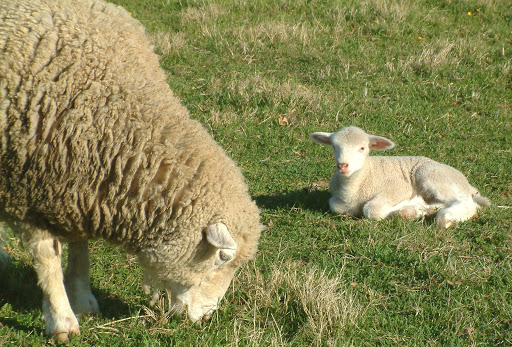 Farm «Coverdale Farm Preserve of Delaware Nature Society», reviews and photos, 543 Way Rd, Greenville, DE 19807, USA