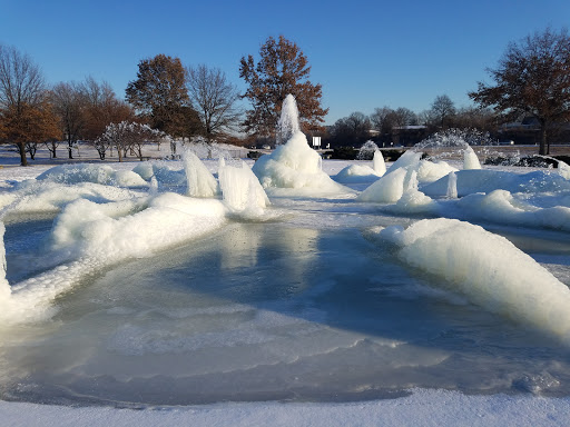 Pet Supply Store «Petco Animal Supplies», reviews and photos, 600 NE Vivion Rd, Kansas City, MO 64118, USA