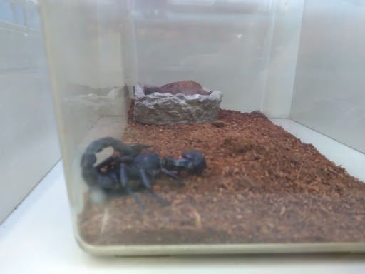 Pet Supply Store «Pet Supplies Plus», reviews and photos, 101 Sutton Ave, Oxford, MA 01540, USA