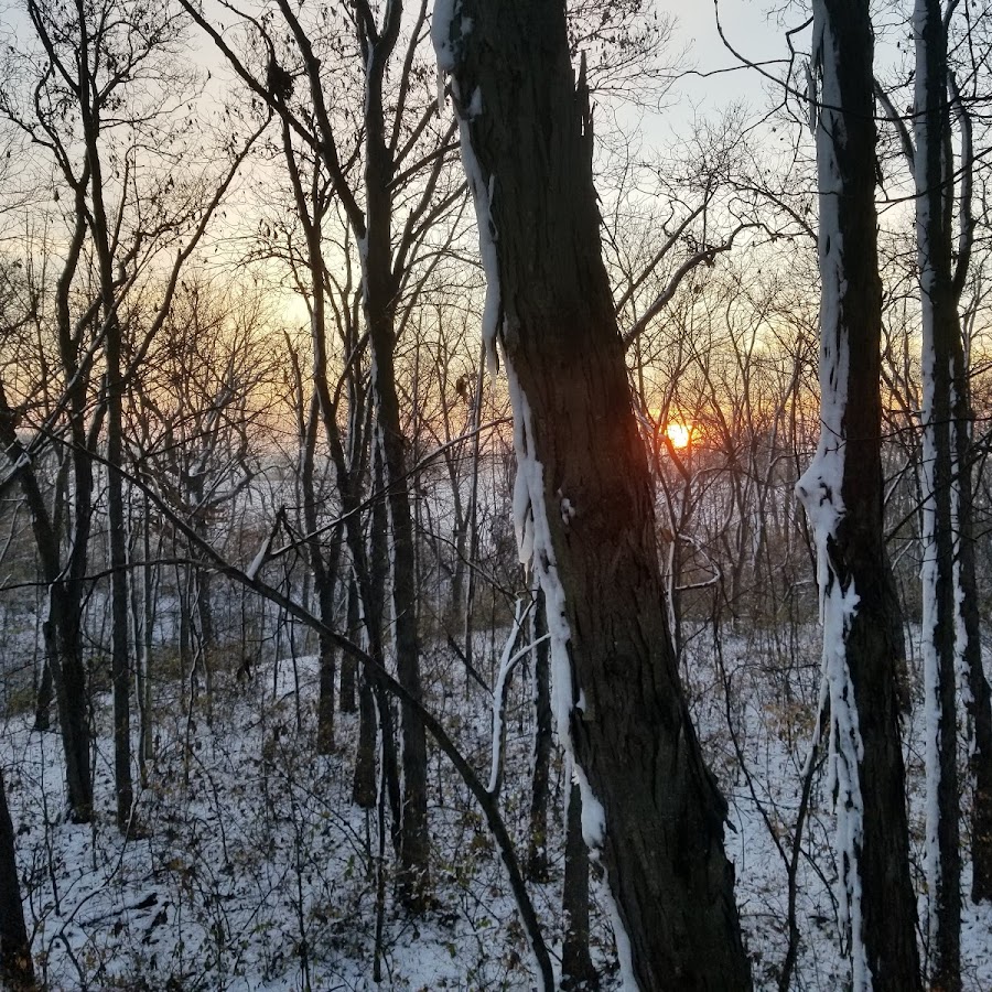 Marseilles State Fish and Wildlife Area