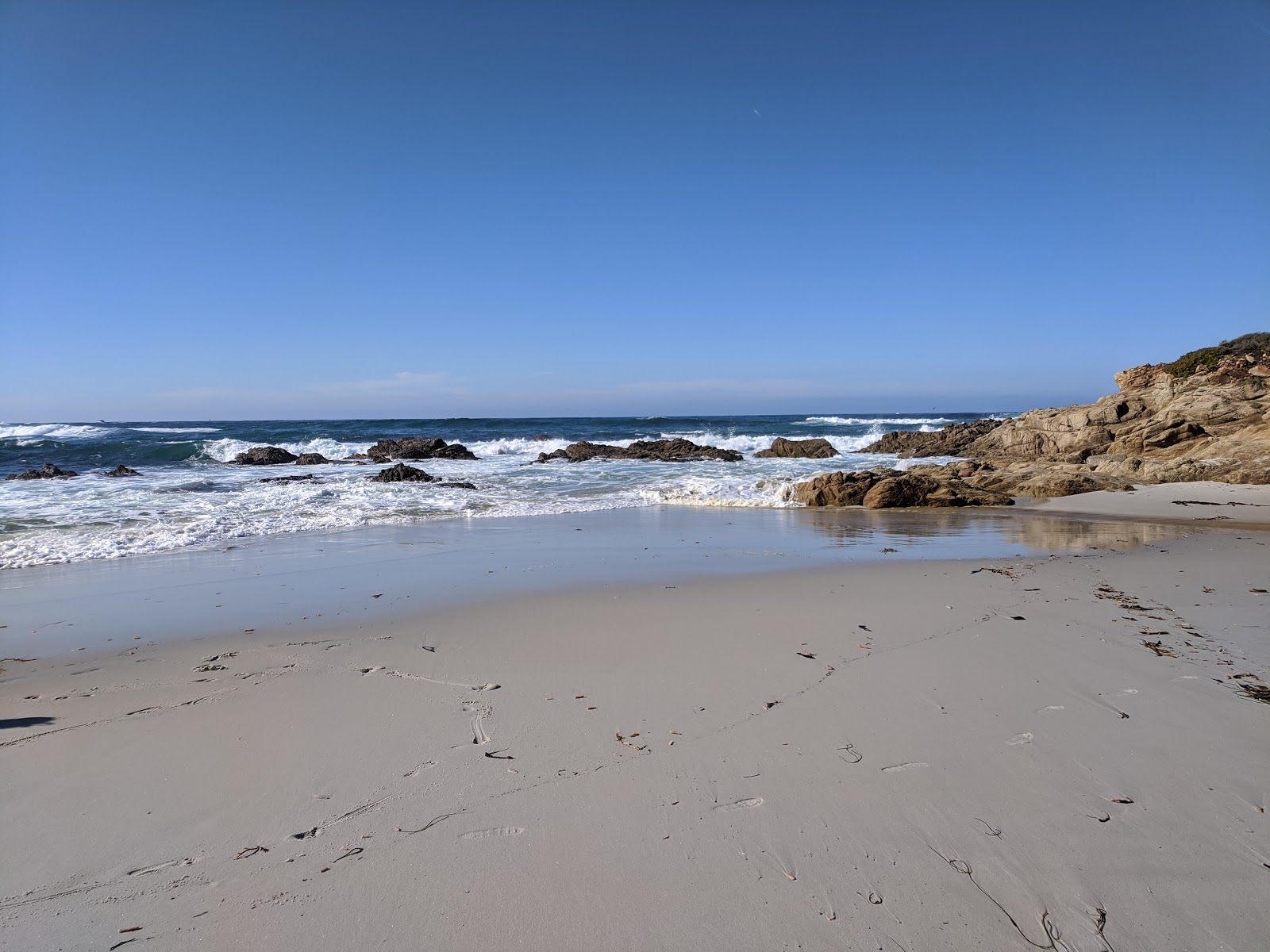 Foto von Seal Rock Beach wilde gegend