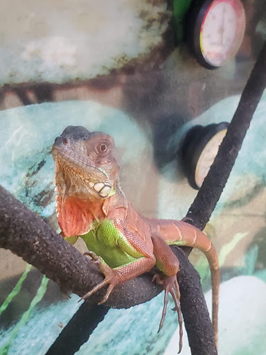 Pet Supply Store «Petco Animal Supplies», reviews and photos, 1331 Hooper Ave, Toms River, NJ 08753, USA