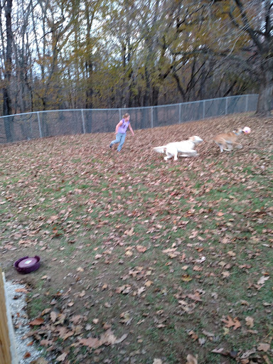 Park «East Palestine City Park», reviews and photos