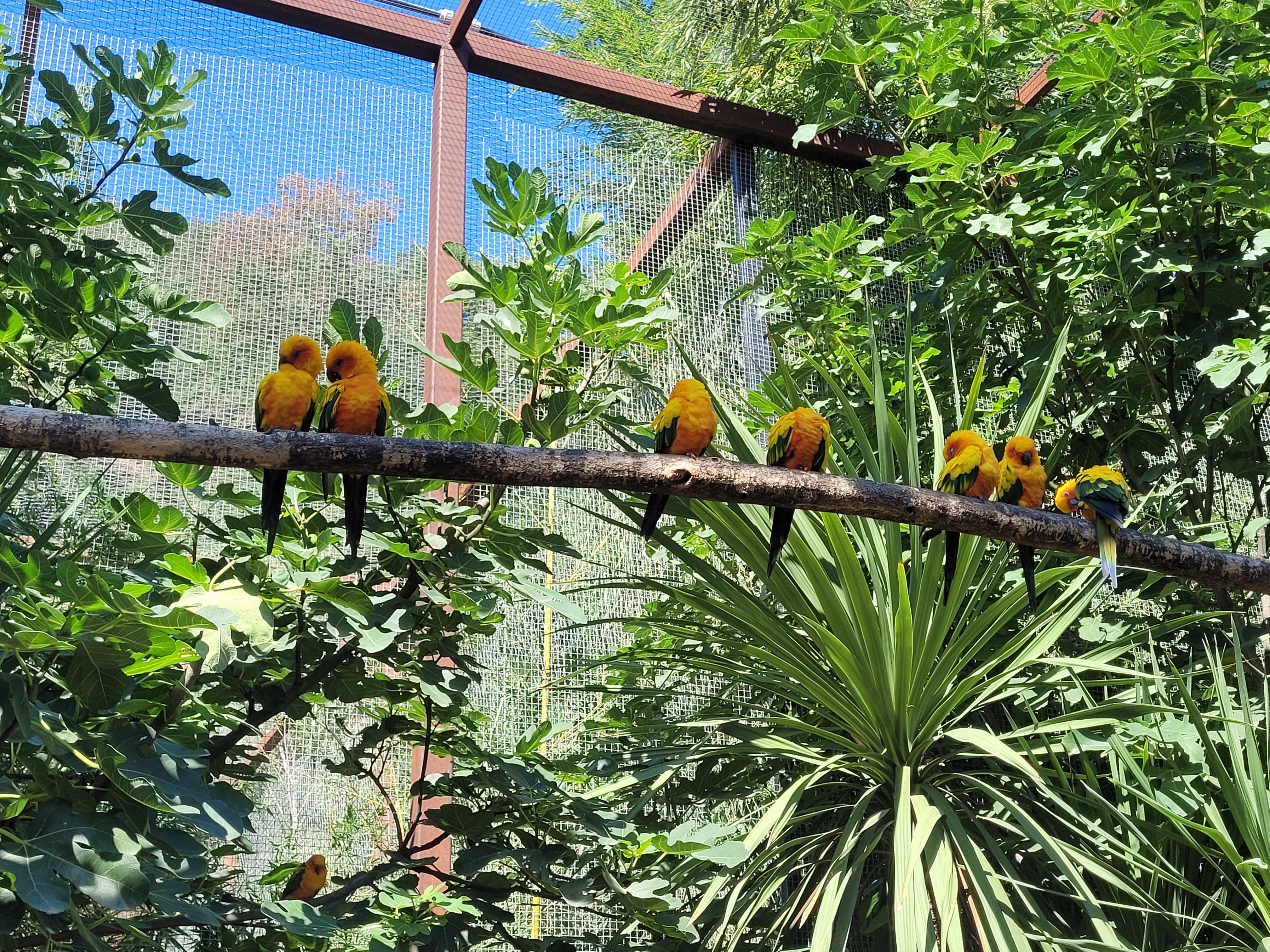 Photo n° 6 de l'avis de Margot.u fait le 19/08/2022 à 12:22