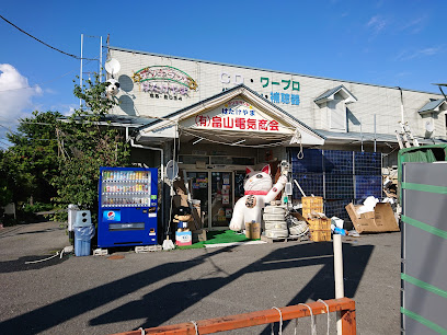 ㈲畠山電気商会
