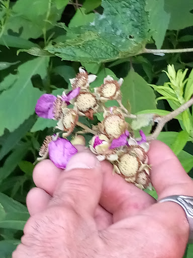 Park «Gorge Metro Park», reviews and photos, 1160 Front St, Cuyahoga Falls, OH 44223, USA