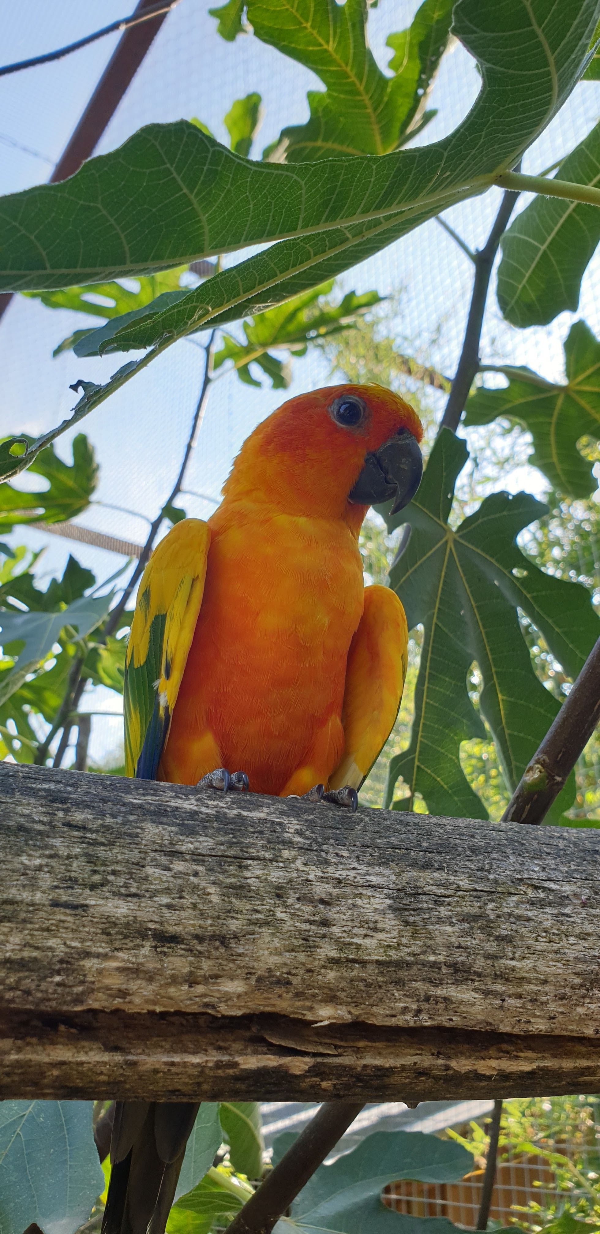 Photo n° 1 de l'avis de Thomas.e fait le 15/09/2020 à 14:40