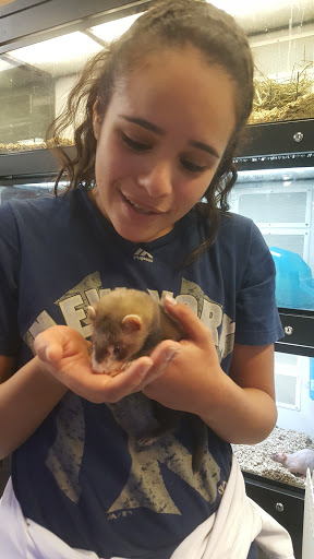 Pet Store «Pet Goods», reviews and photos, 1125 Central Park Ave, Scarsdale, NY 10583, USA