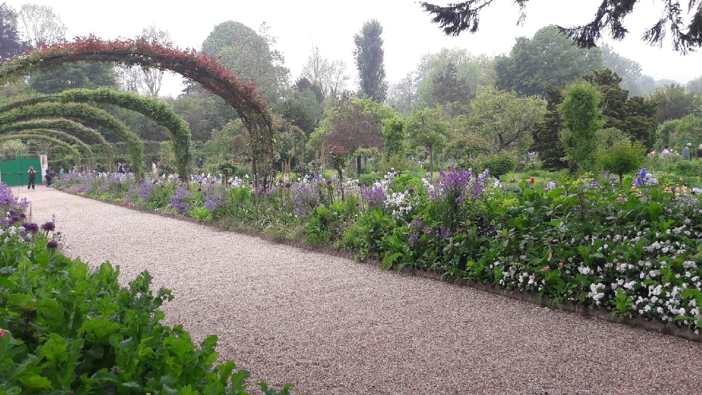 Photo n° 8 de l'avis de Olive.. fait le 19/05/2019 à 15:09