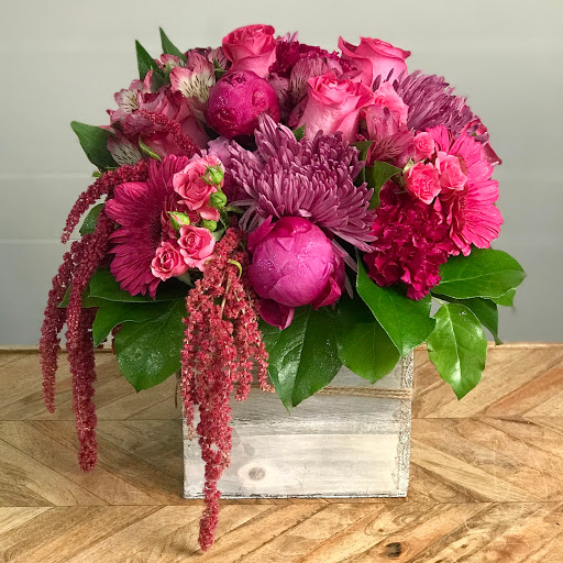 Florist «Ferrari Florist and Gifts», reviews and photos, 345 Soquel Ave, Santa Cruz, CA 95062, USA