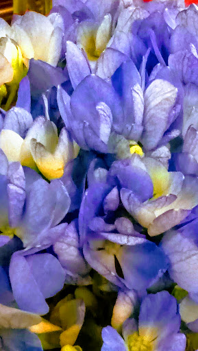 Grocery Store «Jewel-Osco», reviews and photos, 7201 W 24th St, North Riverside, IL 60546, USA