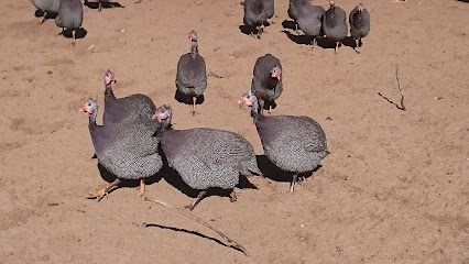 La ferme d’Illats