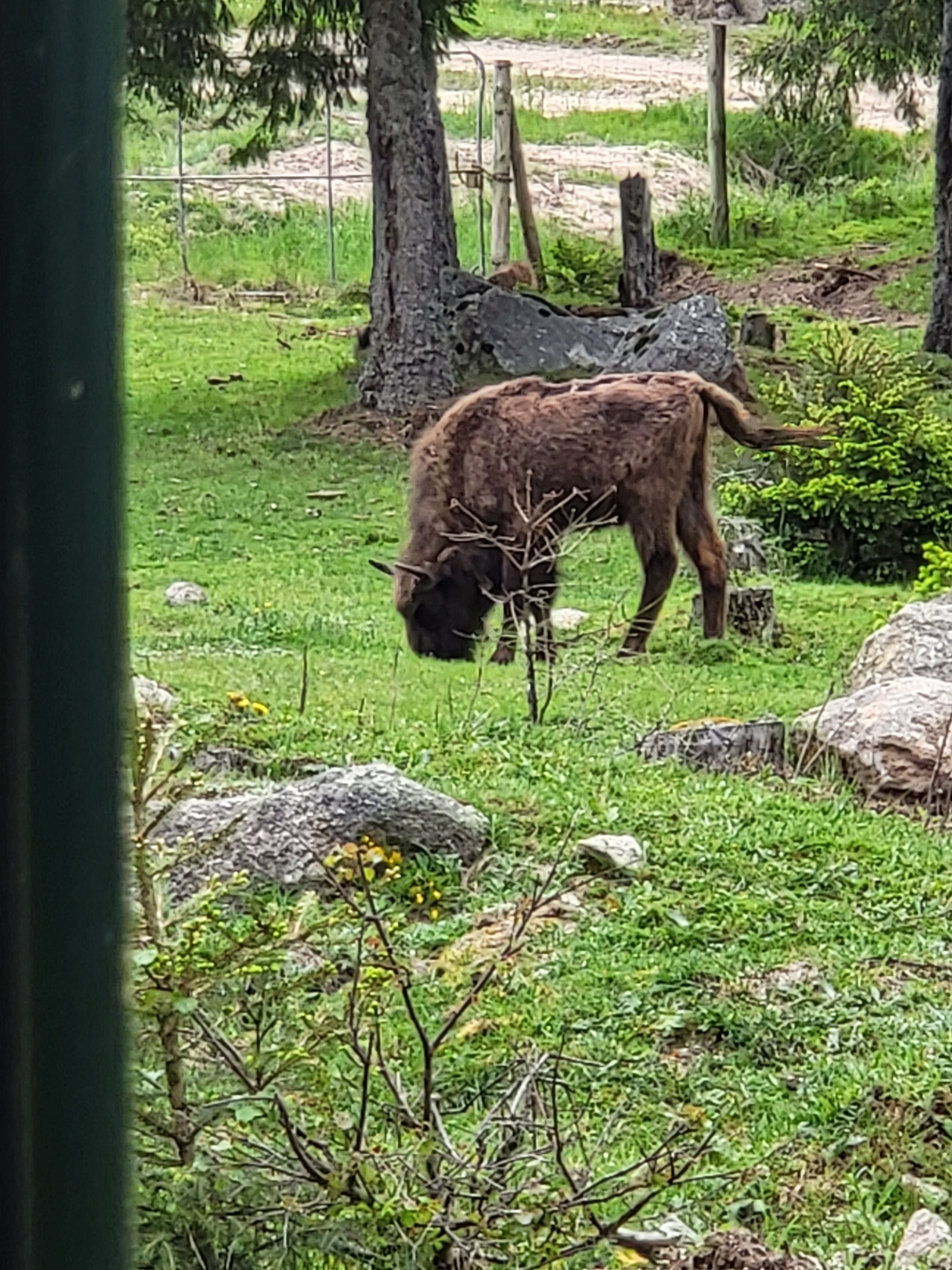 Photo n° 17 de l'avis de Joseph.e fait le 07/06/2023 à 21:11