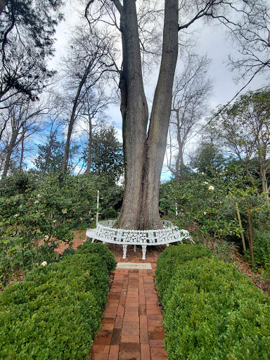 Garden «Wing Haven», reviews and photos, 248 Ridgewood Ave, Charlotte, NC 28209, USA