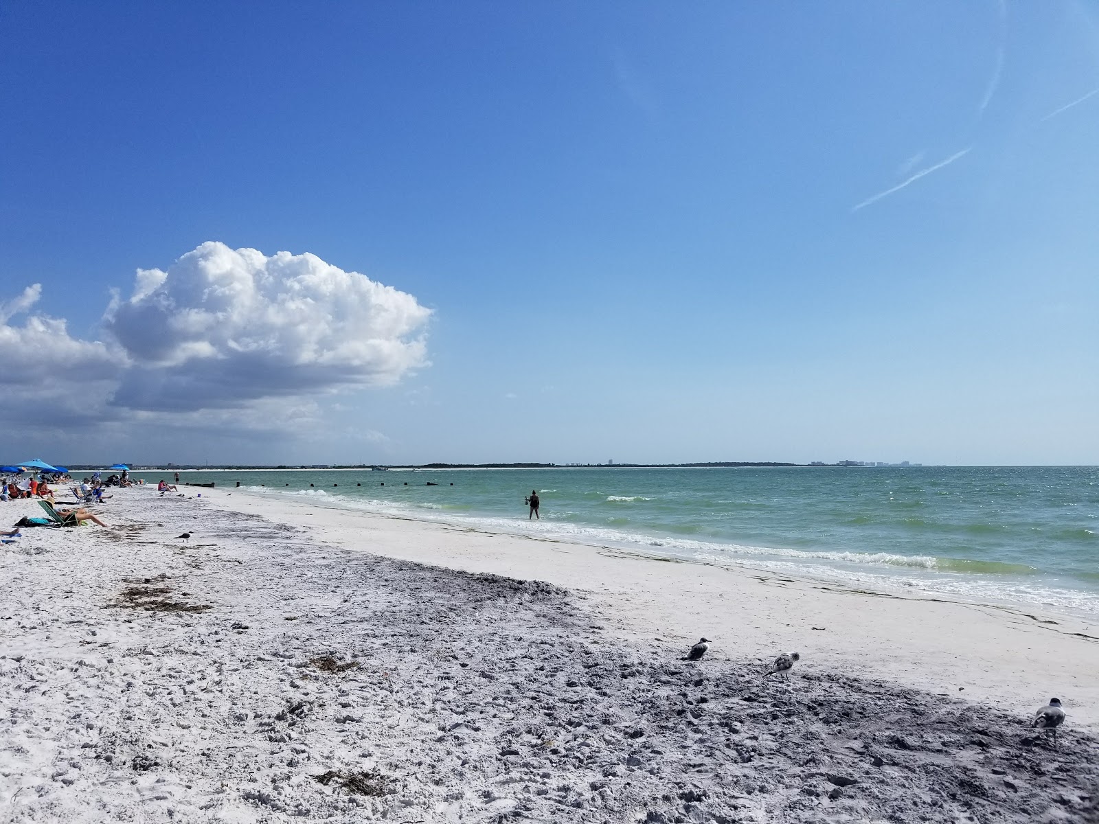Dunedin Beach'in fotoğrafı ve yerleşim