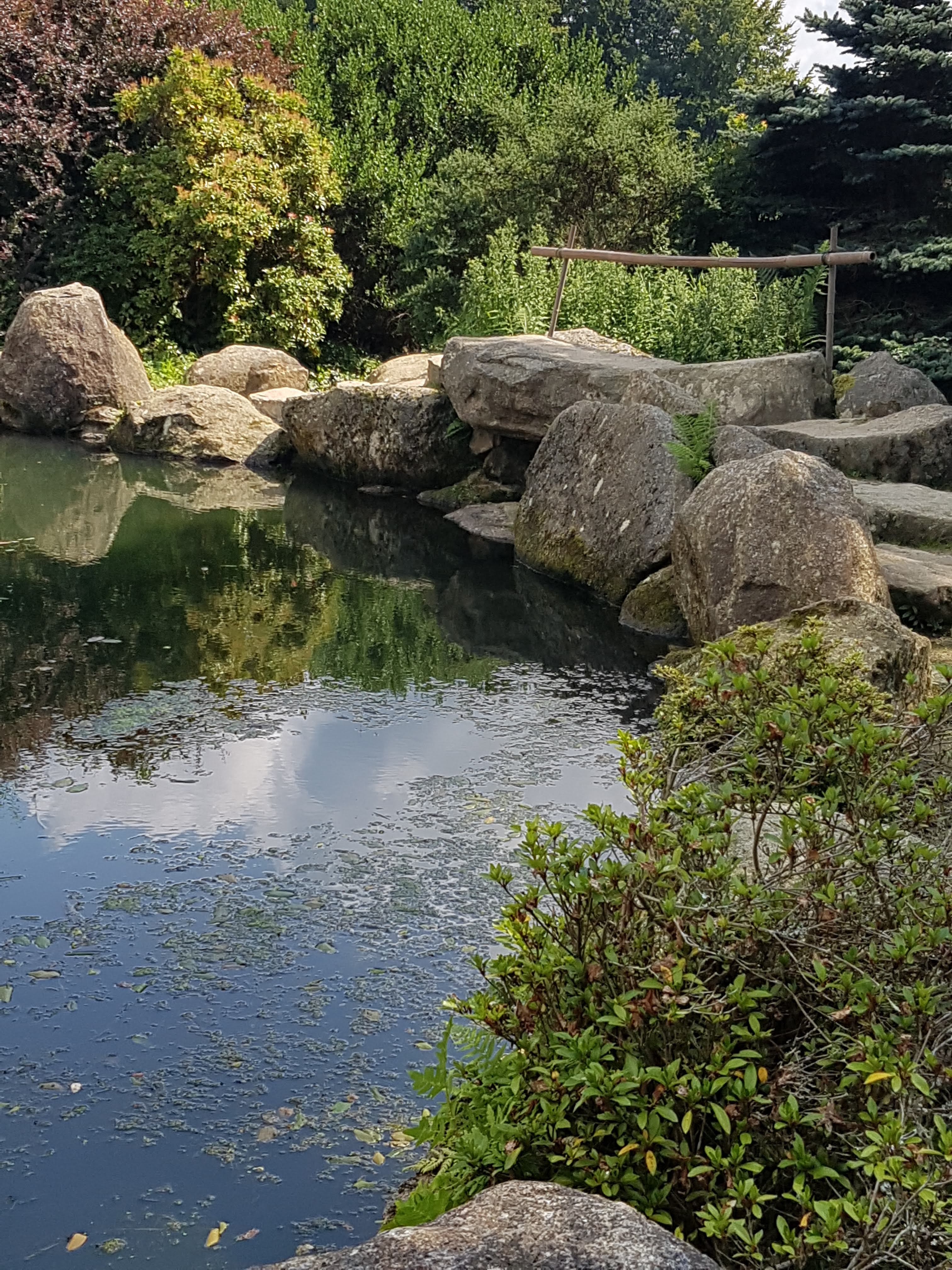 Photo n° 11 de l'avis de Sylvaine.a fait le 24/08/2021 à 13:10