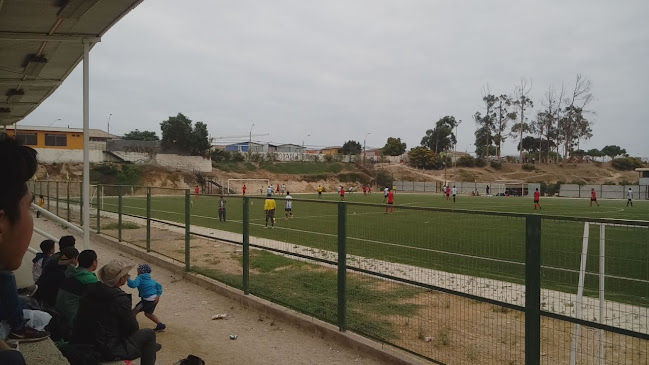 Canchas Punta Mira - Coquimbo
