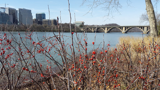 National Park «Georgetown Waterfront Park», reviews and photos, Water St NW, Washington, DC 20007, USA