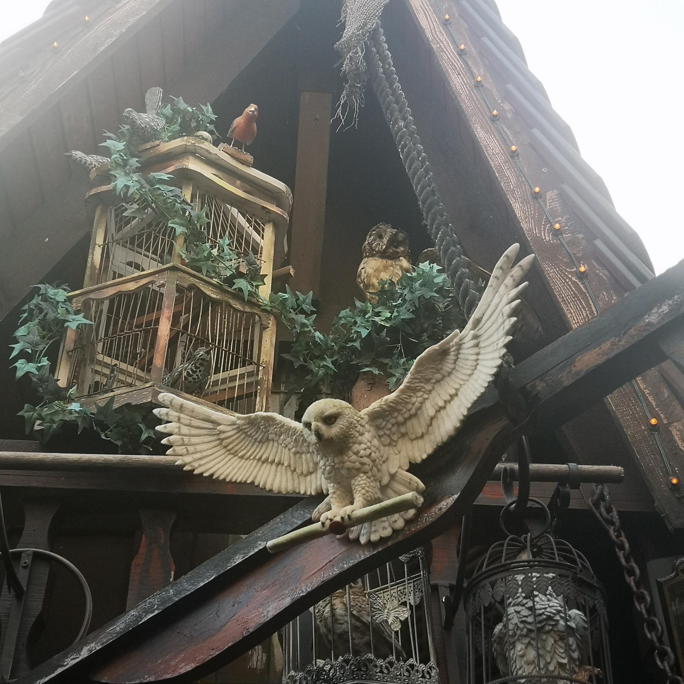 Photo n° 21 de l'avis de gwendoline.t fait le 02/05/2019 à 16:52
