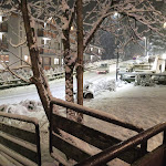 Photo n°3 de l'avis de monica.l fait le 13/01/2024 à 19:35 sur le  Alaska à Folgarida