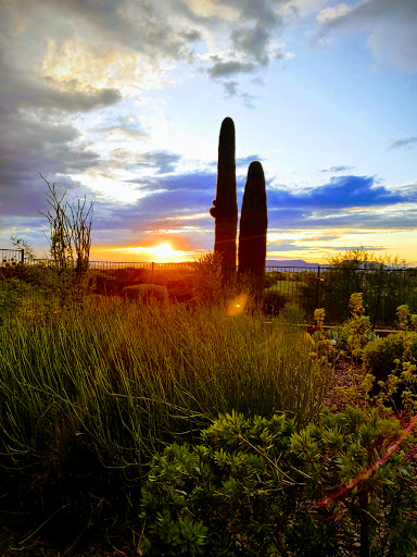 Golf Course «Anthem Country Club», reviews and photos, 2708 W Anthem Club Dr, Phoenix, AZ 85086, USA