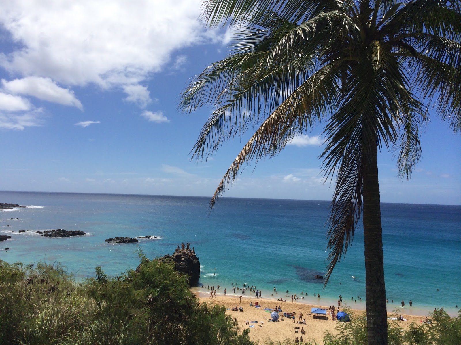 Fotografija Papa'Iloa Beach priljubljeno mesto med poznavalci sprostitve