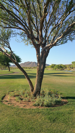 Golf Club «Dove Valley Ranch Golf Club», reviews and photos, 33750 N Dove Lakes Dr, Cave Creek, AZ 85331, USA