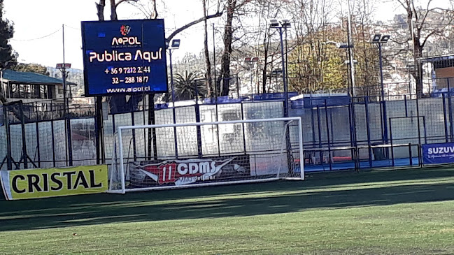 Opiniones de Centro Deportivo Marcelo Salas en Viña del Mar - Campo de fútbol