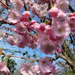 Photo n°3 de l'avis de Monika.� fait le 22/03/2024 à 16:10 sur le  Hotel Goldner Loewe à Bad Köstritz