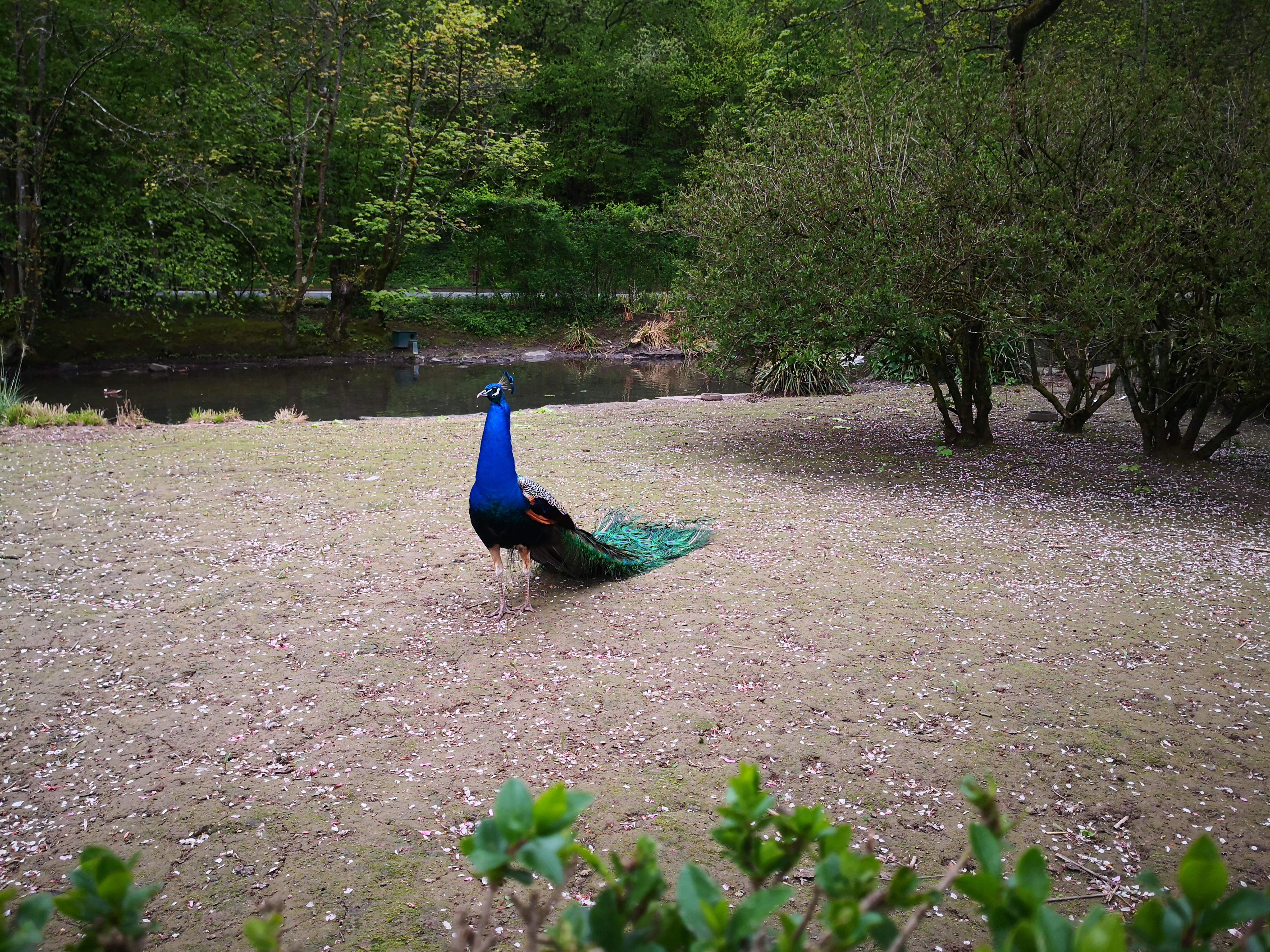 Photo n° 5 de l'avis de Mélanie. fait le 02/05/2019 à 08:22