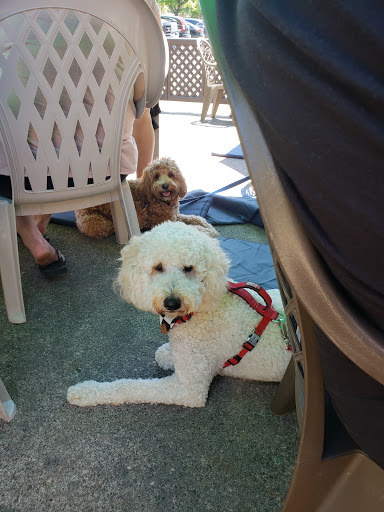 Deli «Morristown Deli», reviews and photos, 7 Elm St, Morristown, NJ 07960, USA