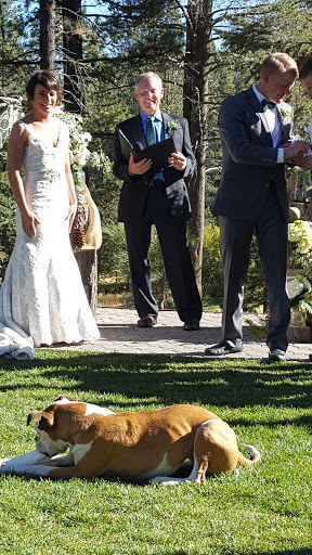 Golf Course «Tahoe Donner Golf Course», reviews and photos, 12850 Northwoods Blvd, Truckee, CA 96161, USA