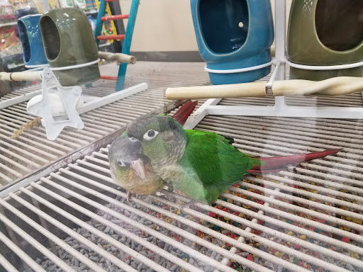 Pet Supply Store «Petco Animal Supplies», reviews and photos, 513 S Mason Rd, Katy, TX 77450, USA