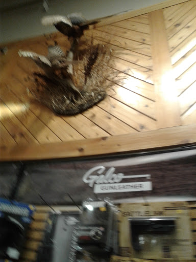 Sporting Goods Store «SCHEELS», reviews and photos, 1850 Adams St, Mankato, MN 56001, USA