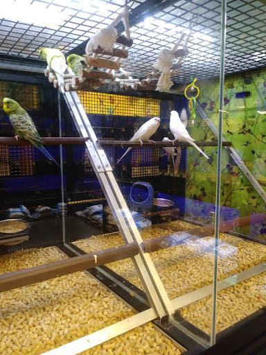 Pet Supply Store «PetSmart», reviews and photos, 601 Centerview Blvd, Kissimmee, FL 34741, USA