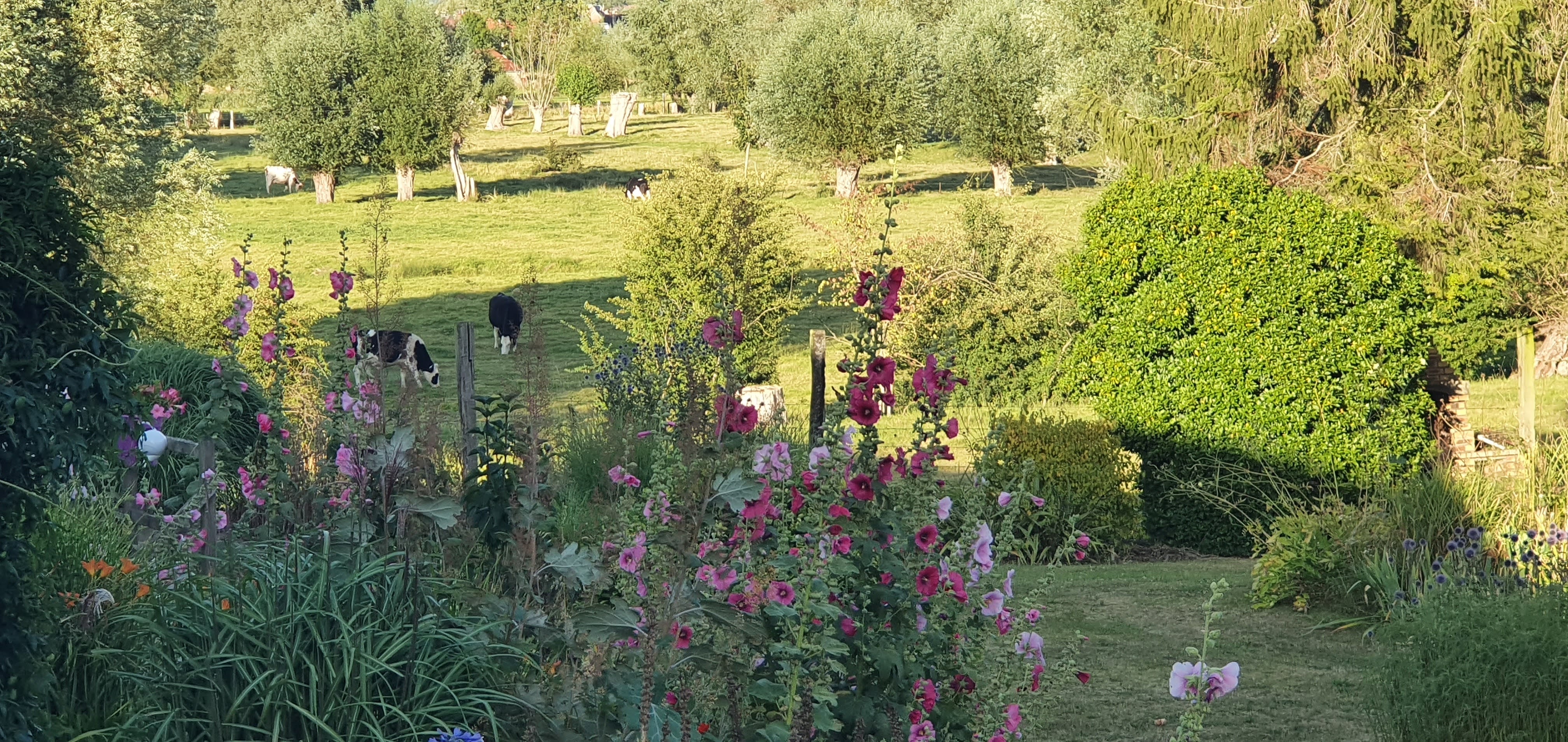 Photo n° 4 de l'avis de Marc.e fait le 18/08/2020 à 13:44