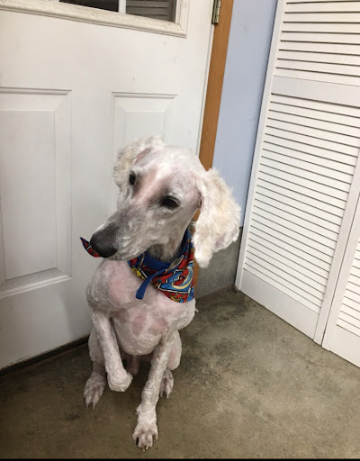 33555 E Columbia Ave # 117, Scappoose, OR 97056, USA