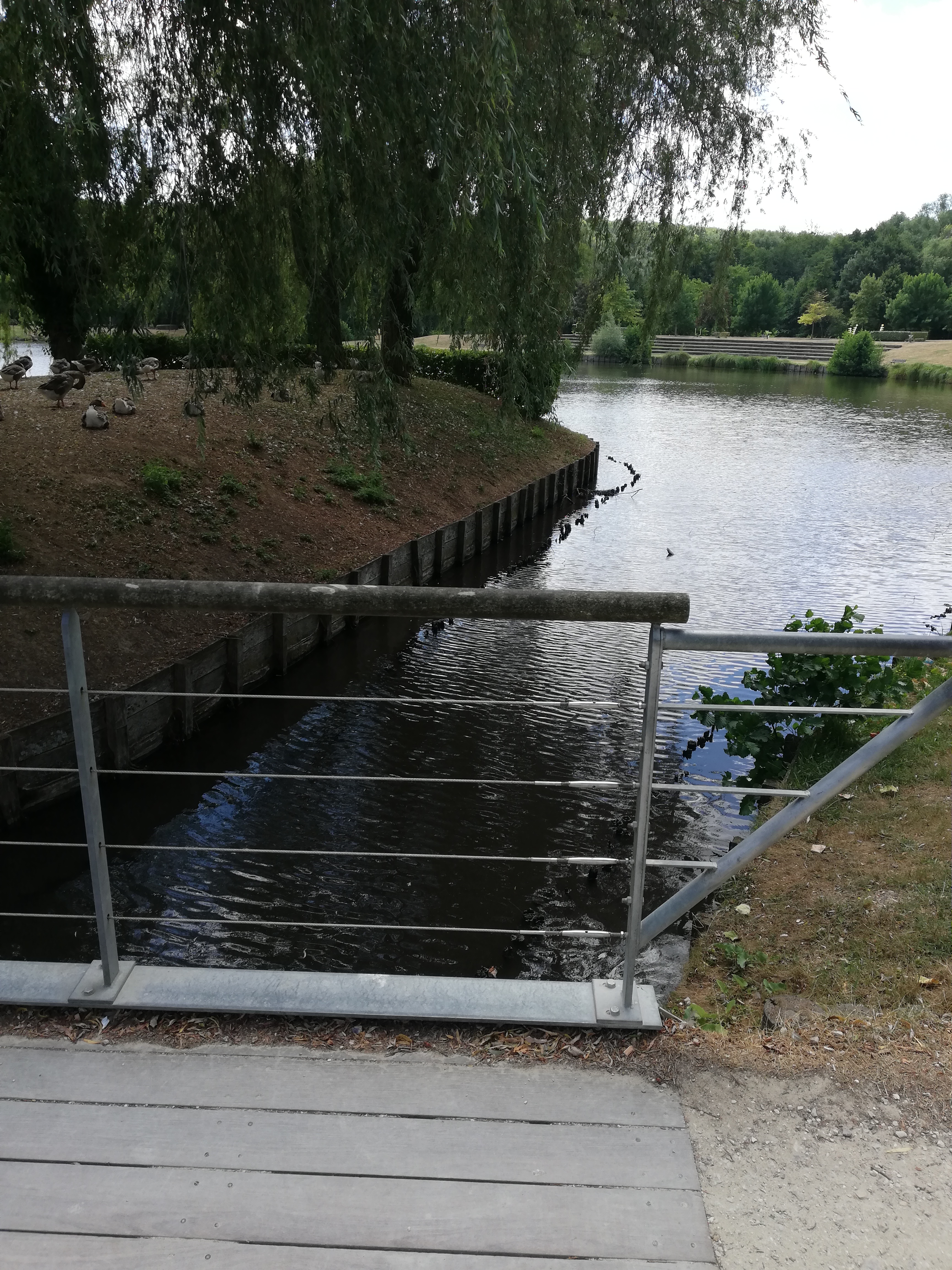 Photo n° 2 de l'avis de Missy.a fait le 21/08/2018 à 08:26
