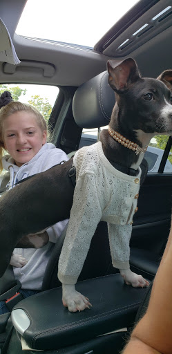 Pet Supply Store «Petco Animal Supplies», reviews and photos, 239 Newburyport Turnpike, Topsfield, MA 01983, USA