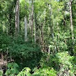 Shingle Creek Regional Park