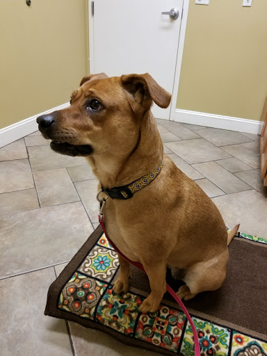 Grace Animal Hospital image