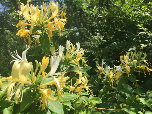 Water Park «Veterans Park & Splash Pad», reviews and photos, 509-599 Ronald Reagan Hwy, DeRidder, LA 70634, USA