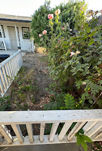 Castro landscaping and handyman - Photo 9 - Car repair in Patterson, CA, Modesto