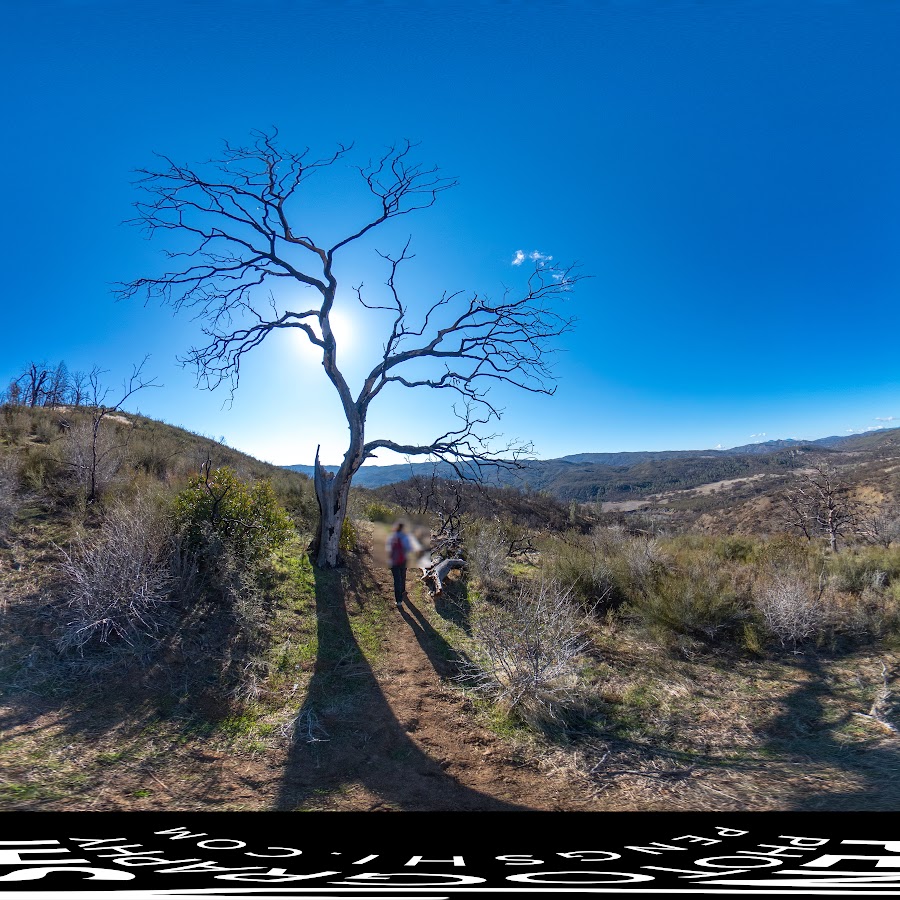 Judge Davis Trailhead