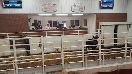Tri County Livestock Auction