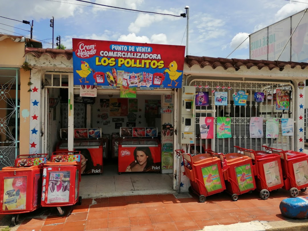 Comercializado de helados los pollitos