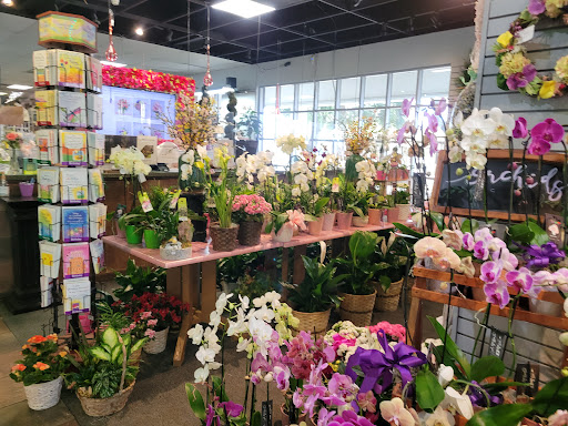 Florist «Fort Myers Florist», reviews and photos, 12000 S Cleveland Ave, Fort Myers, FL 33907, USA