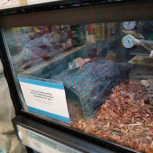 Pet Supply Store «Petco Animal Supplies», reviews and photos, 9078 SE Sunnyside Rd, Clackamas, OR 97015, USA