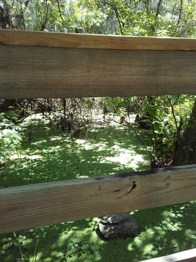 Community Park «Summerfield Community Park», reviews and photos, 6402 Lakewood Ranch Blvd, Bradenton, FL 34202, USA